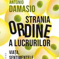 Copertă produs Strania ordine a lucrurilor - gallery small 