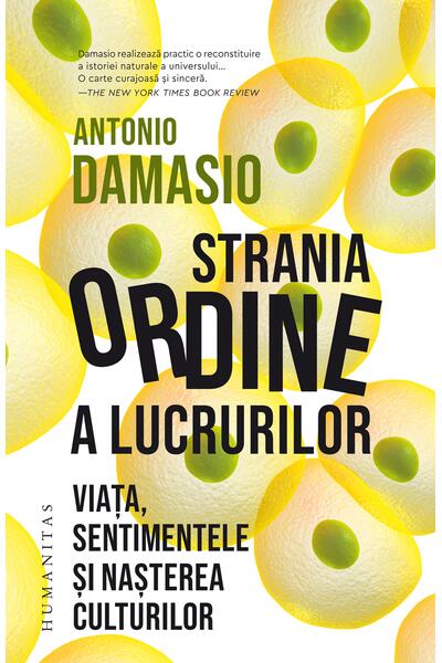 Strania ordine a lucrurilor