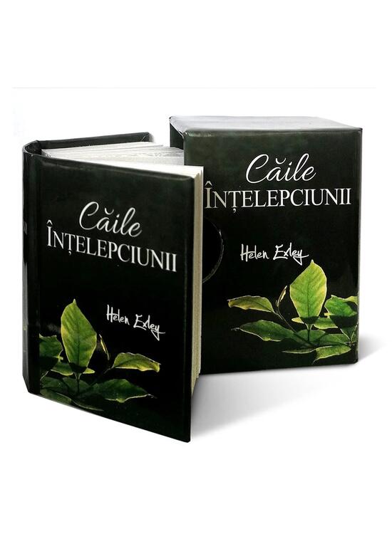 Copertă produs Căile inţelepciunii - gallery big 3