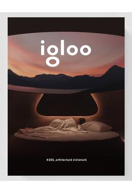 Copertă produs Igloo Nr. 206 Februarie - Martie 2022