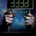 Copertă produs 3333 de zile - gallery small 