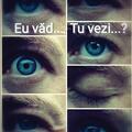 Copertă produs Eu văd...,Tu vezi...? - gallery small 