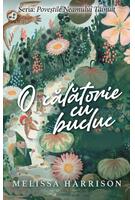 Imagine produs O călătorie cu bucluc