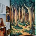 Copertă produs Valea mea - gallery small 