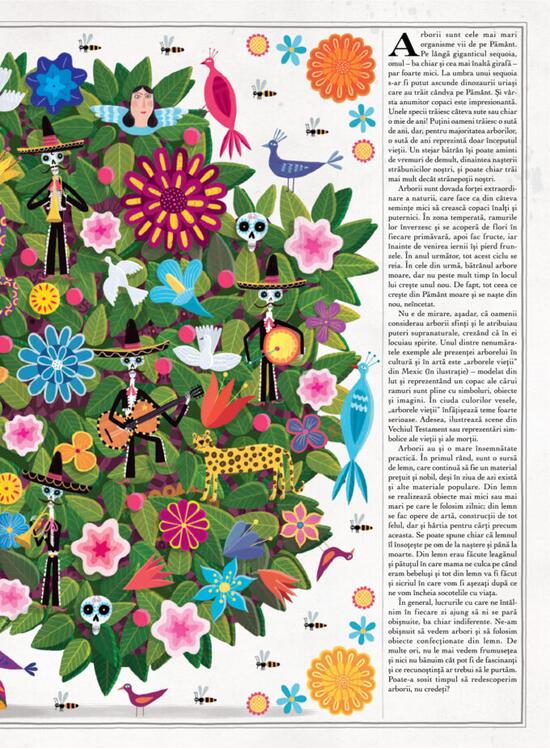 Copertă produs Arborii - gallery big 3