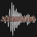 Seismograme