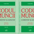 Copertă produs Codul muncii. Comentat și adnotat (2 vol.) - gallery small 
