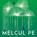 Copertă produs Melcul pe pov&acirc;rniş - gallery small 