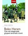 Copertă produs Boko Haram - thumb 1
