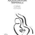 Copertă produs Adolescenta din tramvaiul 6 - gallery small 