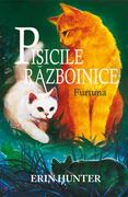 Pisicile războinice. Furtuna (Vol.4)