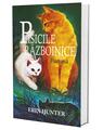 Copertă produs Pisicile războinice. Furtuna (Vol.4) - thumb 3