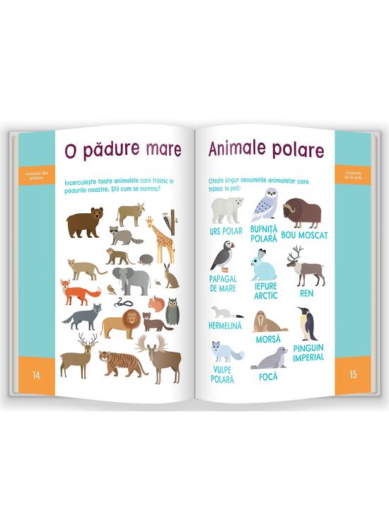 Copertă produs Științe și explorarea mediului - gallery big 2