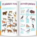 Copertă produs Științe și explorarea mediului - gallery small 