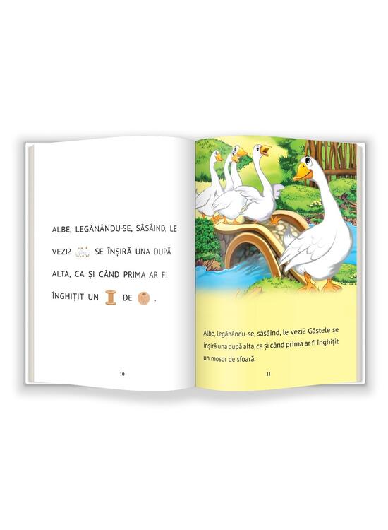 Copertă produs &Icirc;n curtea mea - gallery big 3