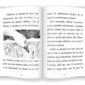 Copertă produs Minunata călătorie a lui Nils Holgersson prin Suedia - gallery small 