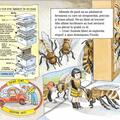 Copertă produs &Icirc;n stupul de albine - gallery small 
