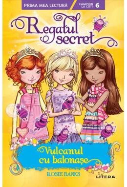 Copertă produs Regatul secret. Vulcanul cu balonașe (Nivelul 6)