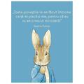Copertă produs Beatrix Potter - Carte de colorat - gallery small 