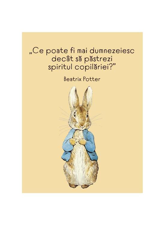 Copertă produs Beatrix Potter - Carte de colorat - gallery big 5