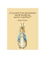 Copertă produs Beatrix Potter - Carte de colorat - thumb 5