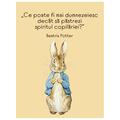 Copertă produs Beatrix Potter - Carte de colorat - gallery small 