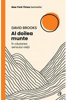 Copertă produs Al doilea munte