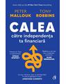Copertă produs Calea către independența ta financiară - thumb 1