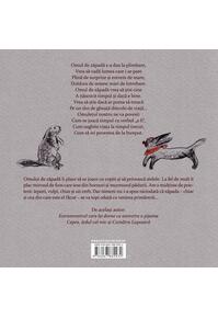 Copertă produs Omul de zăpadă care voia să întâlnească soarele - HC