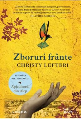 Copertă produs Zboruri fr&acirc;nte