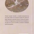 Copertă produs Cavalerii poeziei astronomice rom&acirc;nești de la &icirc;nceputul secolului 20 și c&acirc;te ceva despre urmașii lor - gallery small 