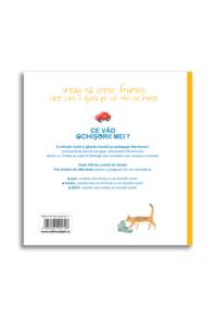 Copertă produs Ce văd ochișorii mei: Acasă