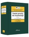 Copertă produs Tratat practic de insolvență (Vol. 1) - thumb 1