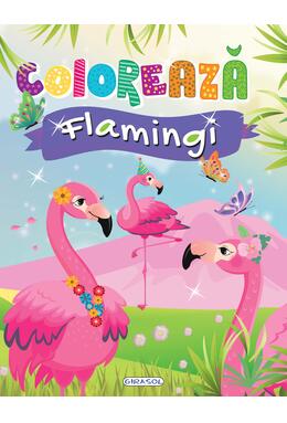 Copertă produs Colorează - Flamingi