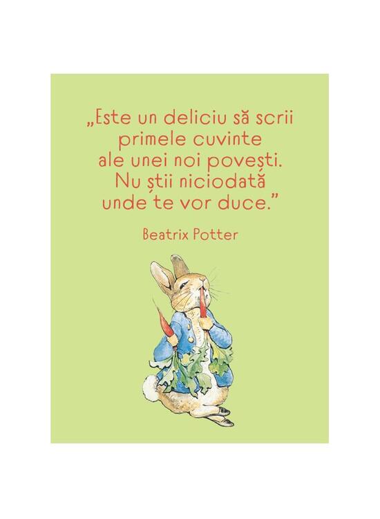 Copertă produs Aventurile lui Peter Iepuraşul - gallery big 2