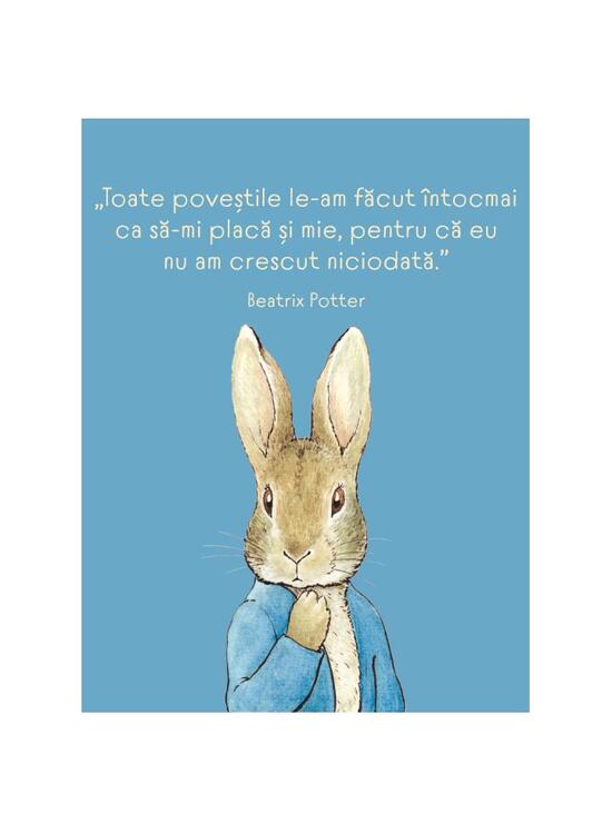 Copertă produs Aventurile lui Peter Iepuraşul - gallery big 3