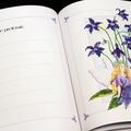 Copertă produs Cartea bebelușului - gallery small 