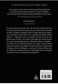 Copertă produs Visurile tatălui meu