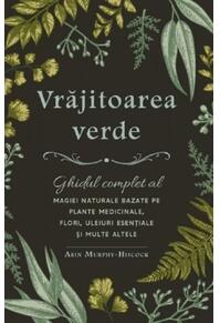 Copertă produs Vrăjitoarea verde