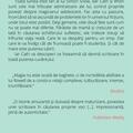 Copertă produs Fangirl - gallery small 
