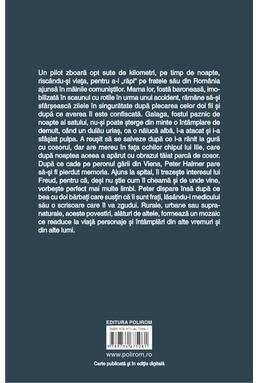 Copertă produs Un roman &icirc;ntr-o gară mică