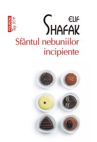 Copertă produs Sf&acirc;ntul nebuniilor incipiente (Top 10+)