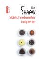 Copertă produs Sf&acirc;ntul nebuniilor incipiente (Top 10+) - thumb 1