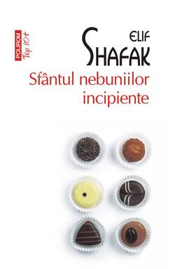 Copertă produs Sf&acirc;ntul nebuniilor incipiente (Top 10+)