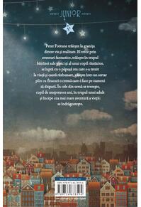 Copertă produs Visătorul