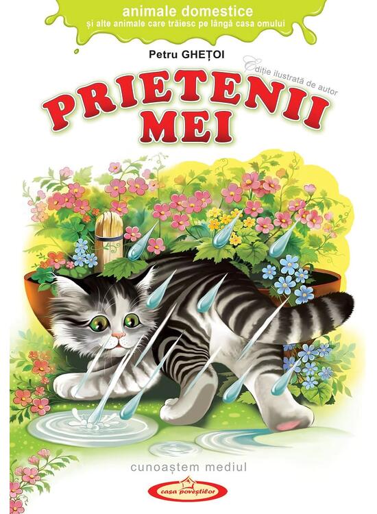 Copertă produs Prietenii mei - gallery big 1