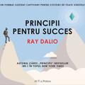 Copertă produs Principii pentru succes - gallery small 