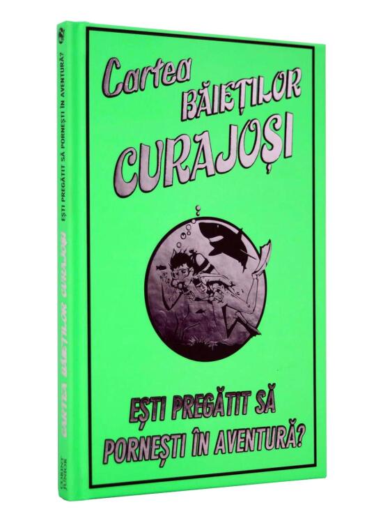 Copertă produs Cartea băieților curajoși - gallery big 1