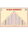 Copertă produs Planșă. Scara numerică - thumb 1