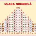 Copertă produs Planșă. Scara numerică - gallery small 